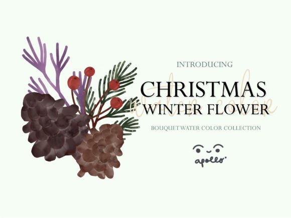 Christmas Flower Winter Watercolor 04: Illustrations Review