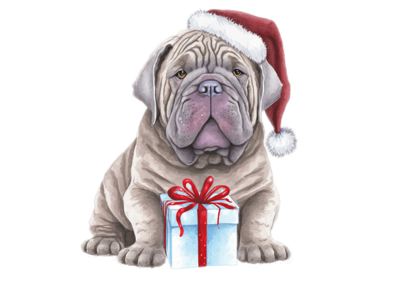 Christmas Neapolitan Mastiff, Mastino Illustrations Review