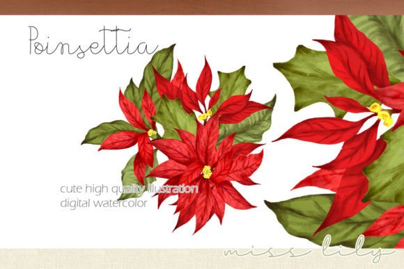 Christmas Poinsettia Ornament Bouquet: Festive Illustrations
